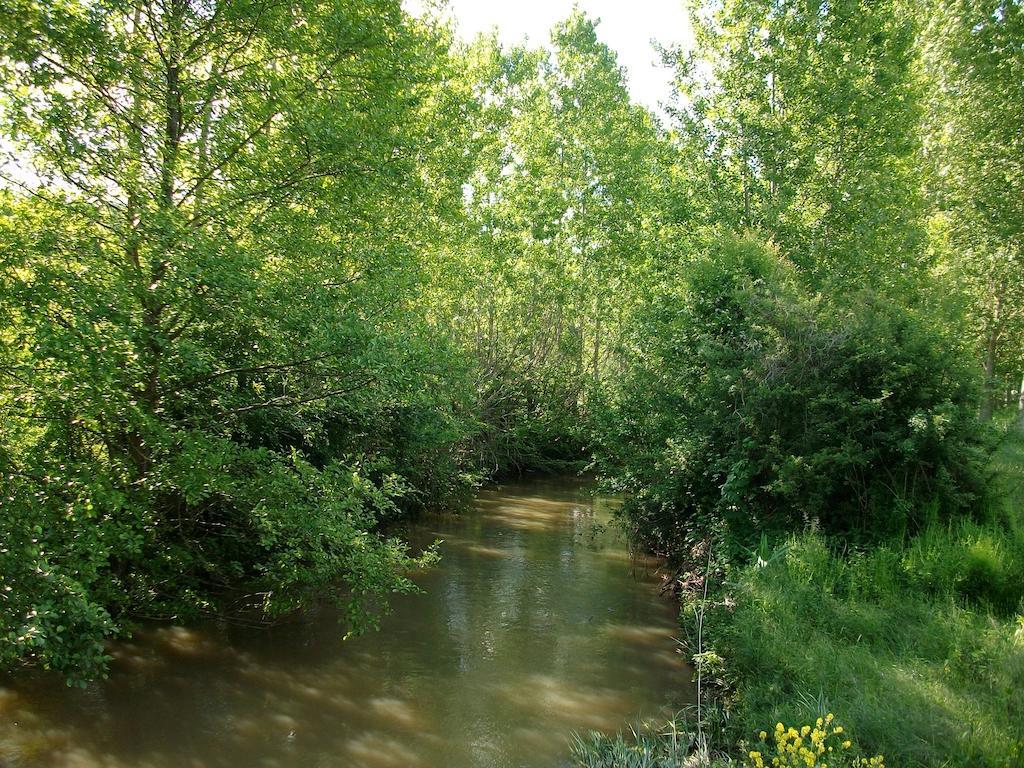 La Cle Des Chants Tauxigny Buitenkant foto