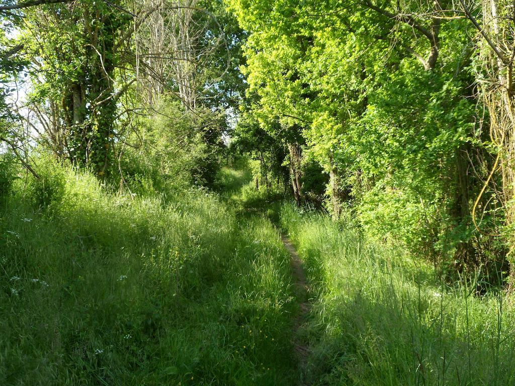 La Cle Des Chants Tauxigny Buitenkant foto